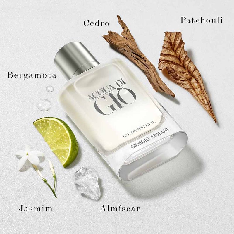 Giorgio Armani Acqua di Giò Masculino Eau de Toilette ilustrativo