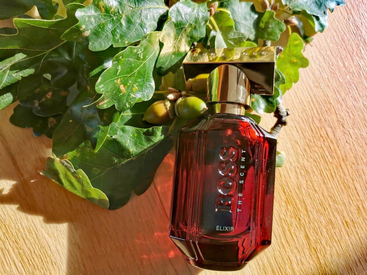 Hugo Boss The Scent Elixir Feminino ilustrativa