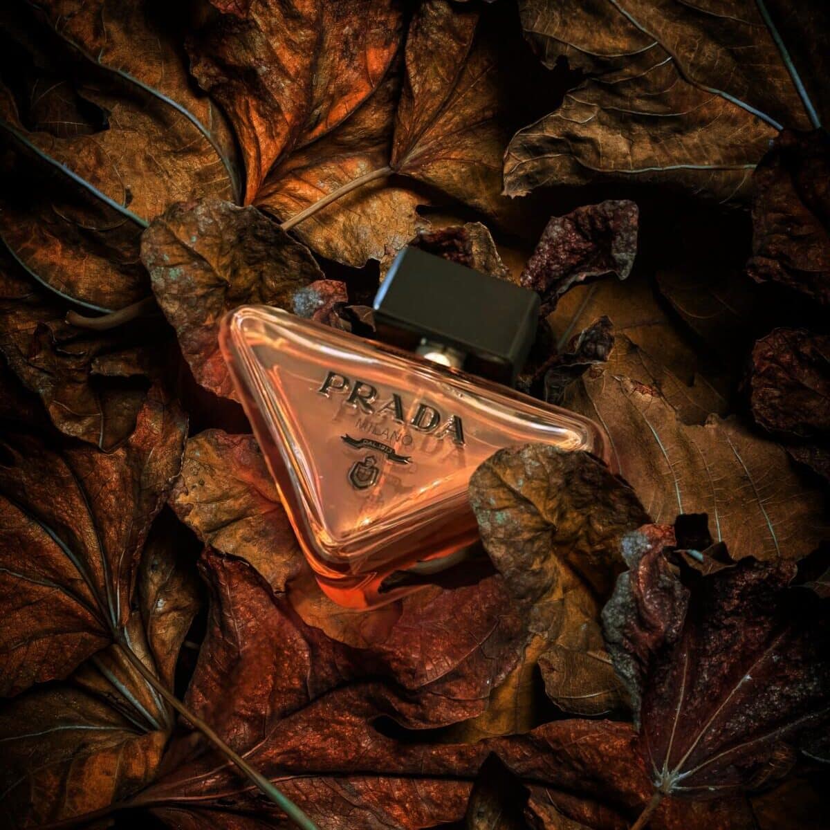 Prada Paradoxe Feminino Eau de Parfum Ilustrativo