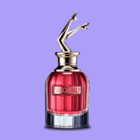 Categoria de Perfumes Femininos na Wolf Essence