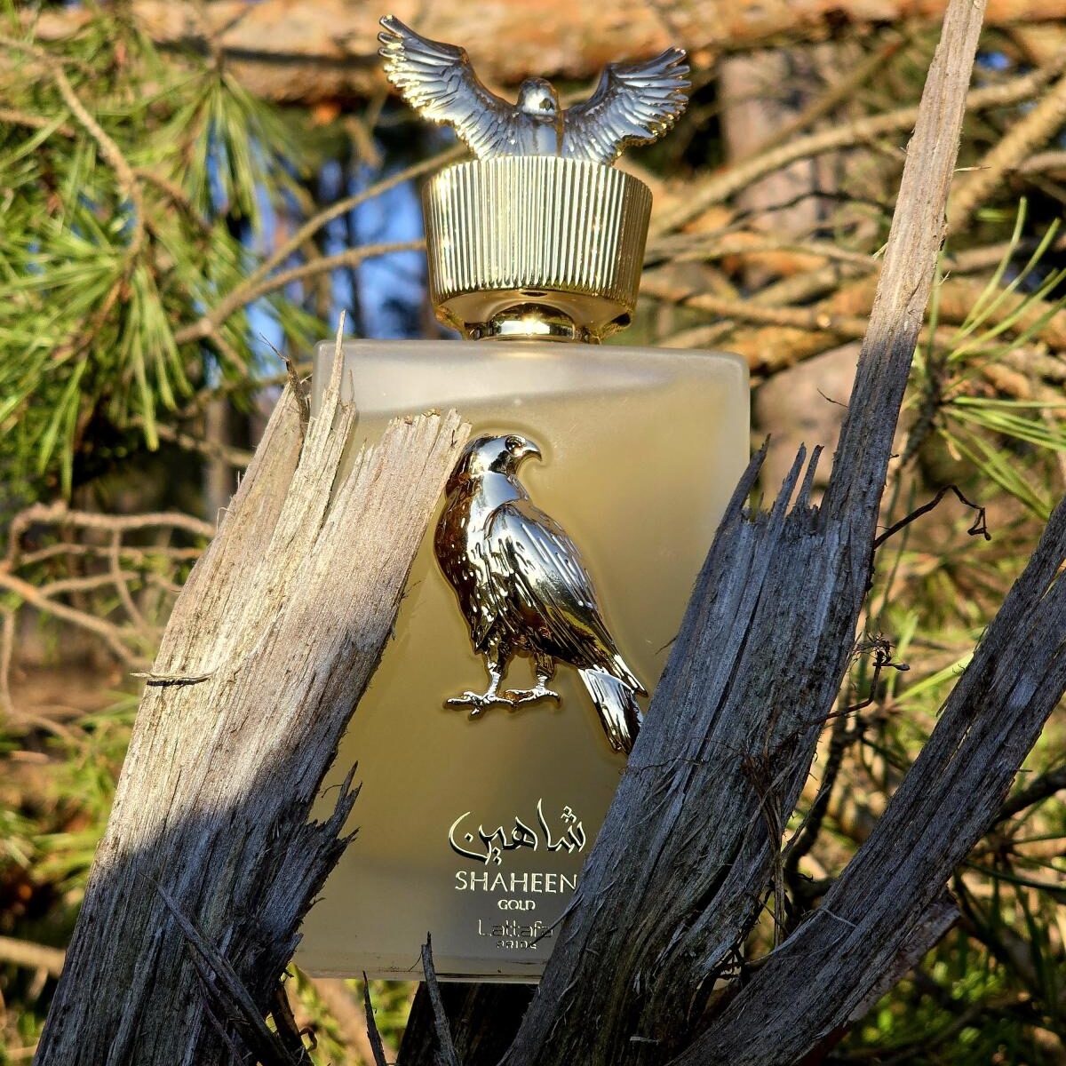 Ilustrativo Perfume Lattafa Shaheen Gold Unissex – 100ml na Wolf Essence