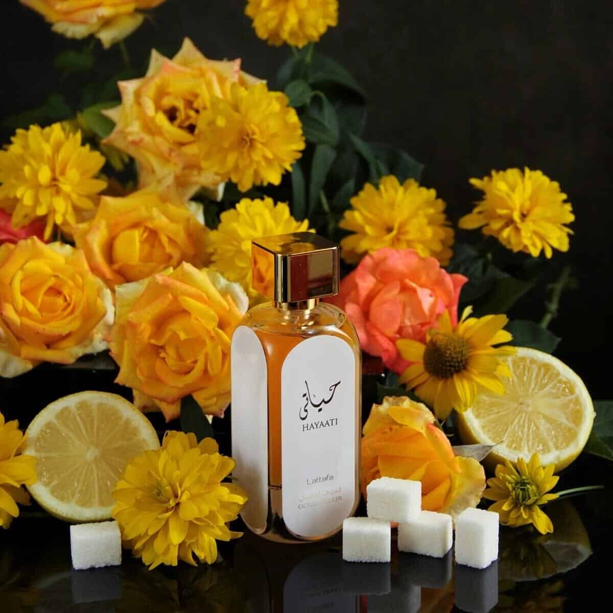 Ilustrativo perfume Lattafa Hayaati Gold Elixir Unissex – 100ml na Wolf Essence