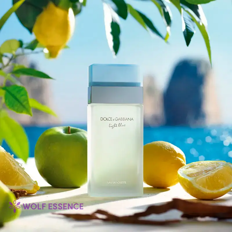 Ilustrativo do Perfume Dolce & Gabbana Light Blue EDT - Feminino 100ml